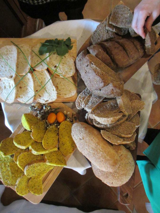 Agriturismo Il Felciaione 마사마리티마 외부 사진