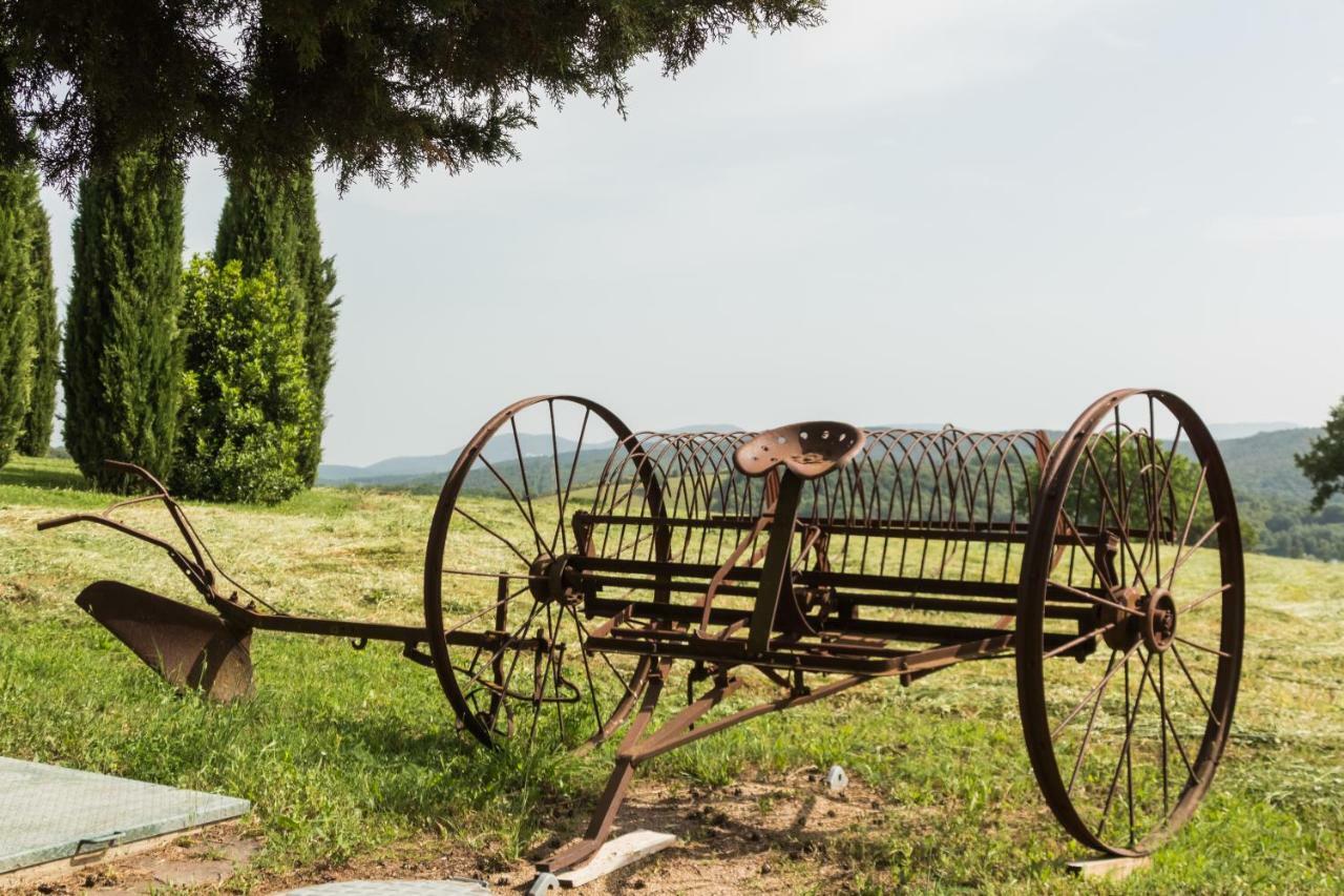 Agriturismo Il Felciaione 마사마리티마 외부 사진